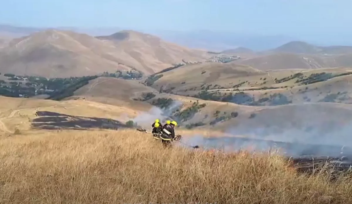 598ecd4e7c80e45506825293553ef39b