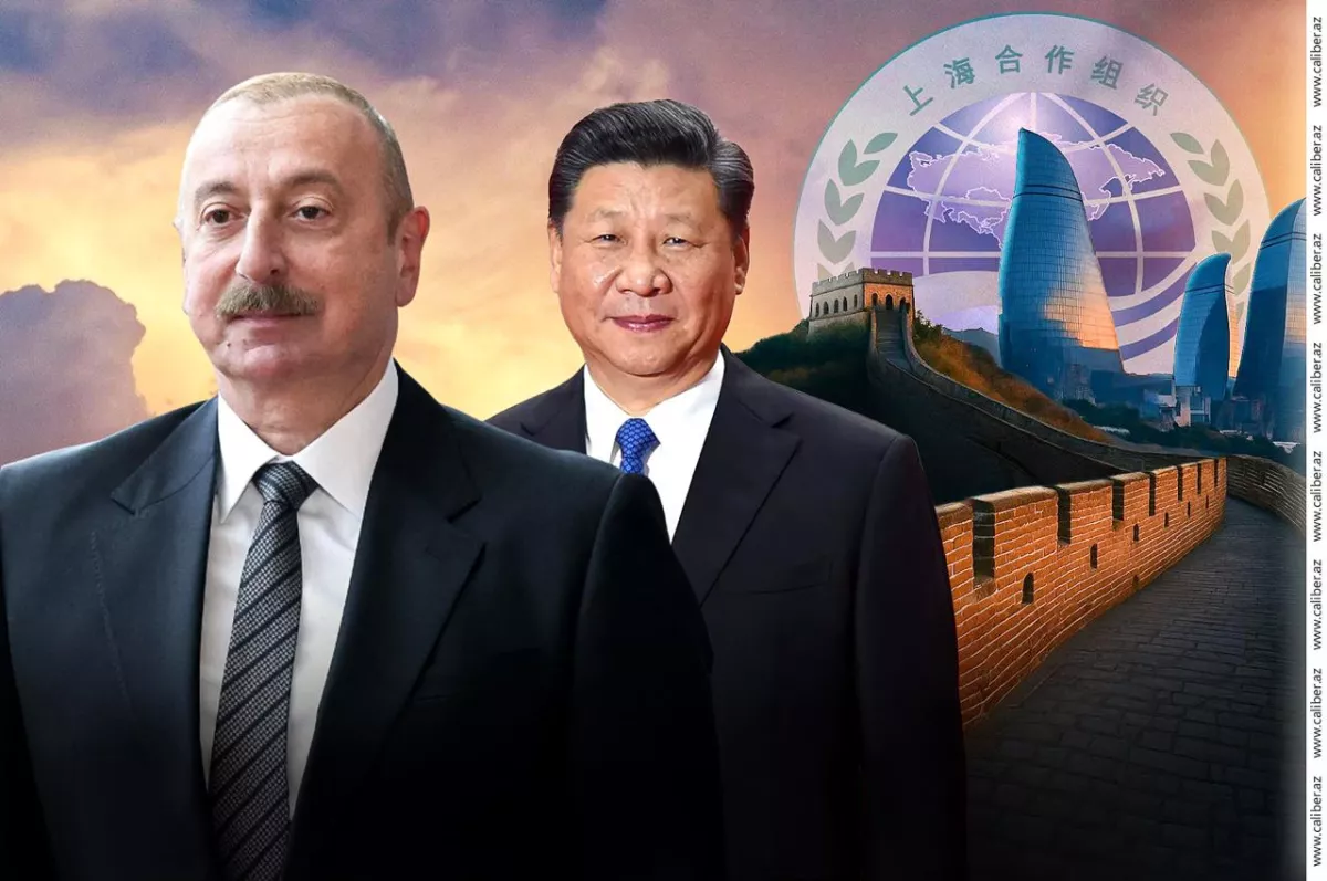 8d153f2b387f56de7f090c52278f07c1